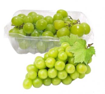 Anggur Hijau Muscat Pack Grosir