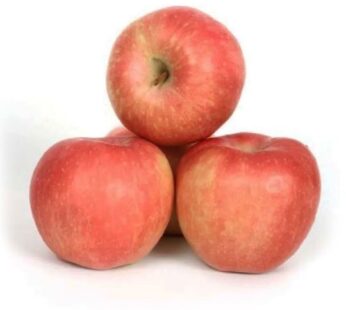 Apel Fuji 100 Grosir