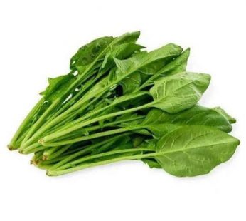 Bayam Jepang / Horenso / Horenzo Spinacia