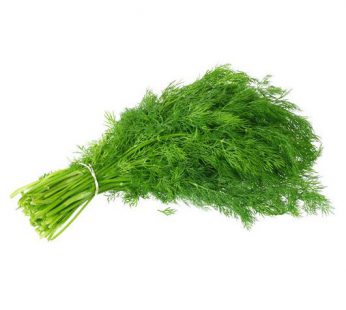 Daun Dill / Daun Dill / Daun Dill Fresh / Dill