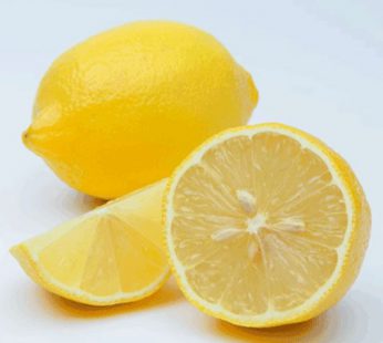 Jeruk Lemon China Grosir