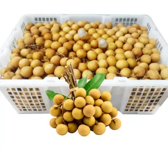 Kelengkeng Emas Gosir