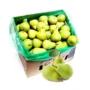 Pear Packham Grosir