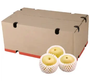 Sweat Pear / Pir Madu Grosir