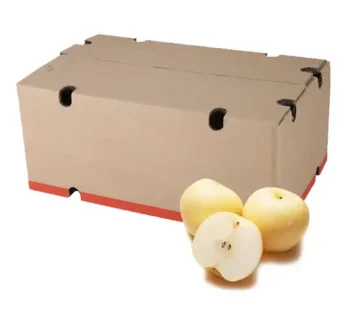 Pear Golden / Pir Golden Grosir