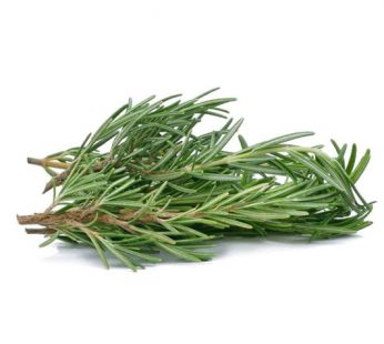 Rosemary / Daun Rosemary