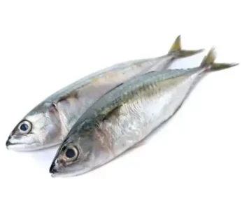 Kembung Banjar Grosir