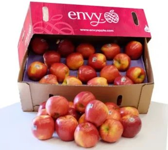 Apel Envy Grosir