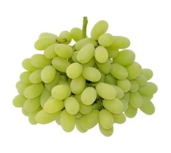 Anggur Hijau Muscat