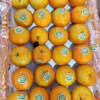 Kinno Mandarin