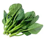 Kailan Impor
