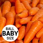 Wortel Ball Baby
