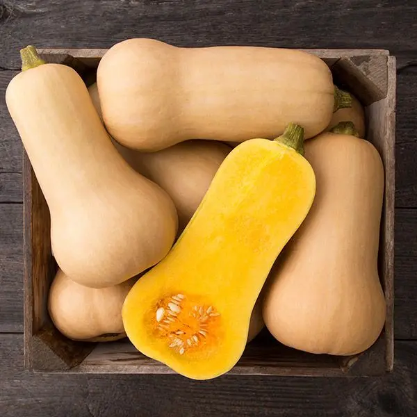 Butternut Jeklin CN