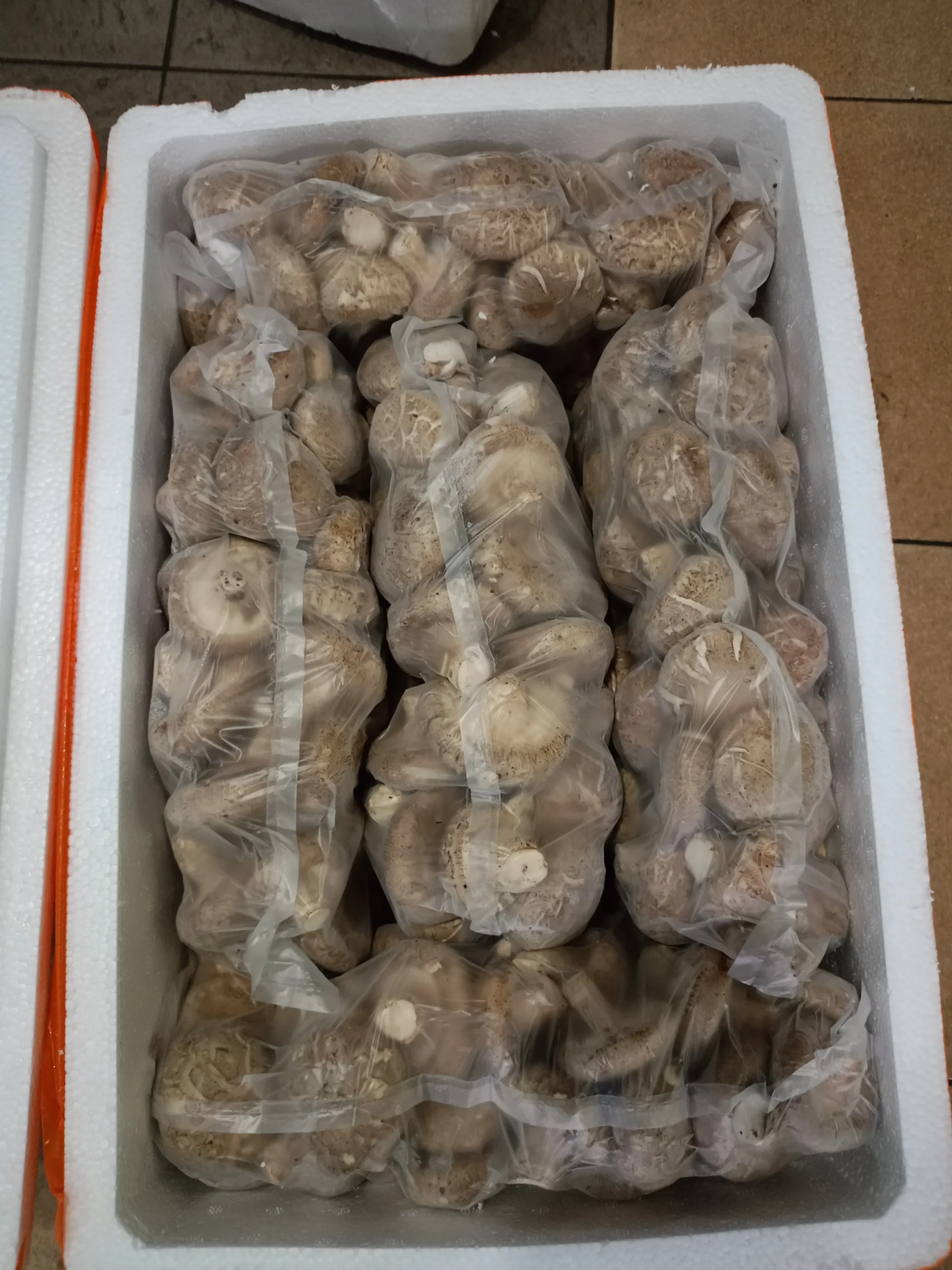 Shitake bulk