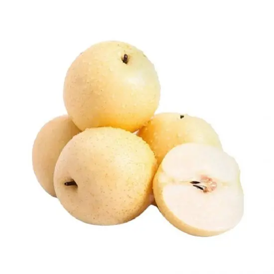 Pear Century Ecer