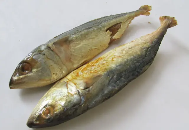 Ikan Peda