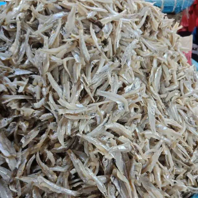 Teri Tawar
