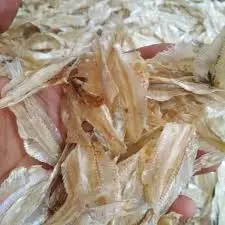 Ikan Asin Pakang
