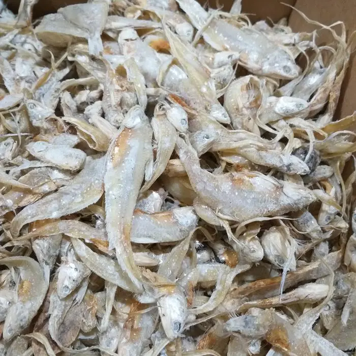 Ikan Asin bulu Ayam