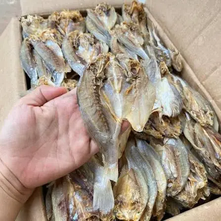 Ikan Pala Batu