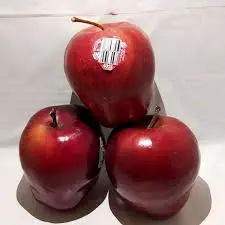 RED DEL USA 150