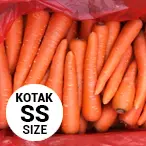 Wortel Kotak SS