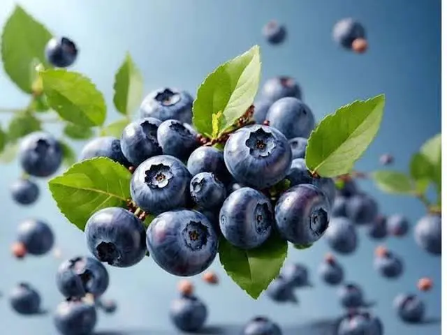Blueberry