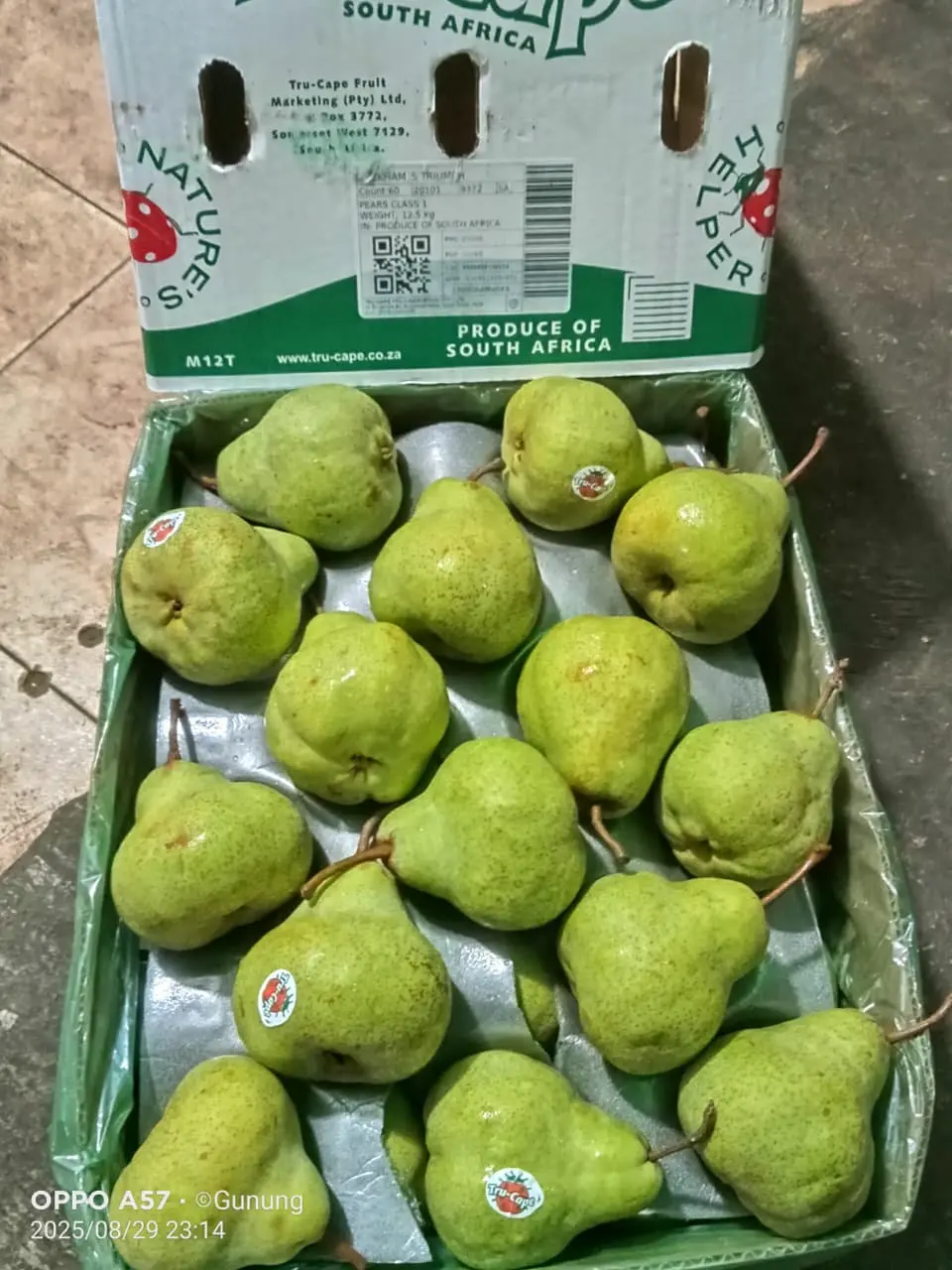Pear Packam