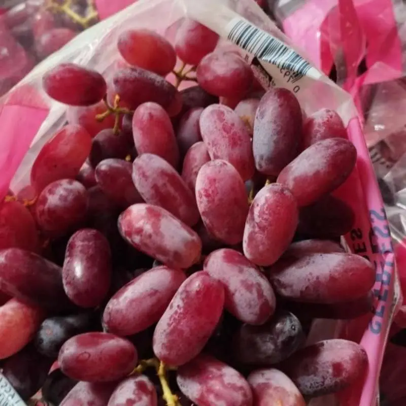 Anggur Merah AUS Kantong