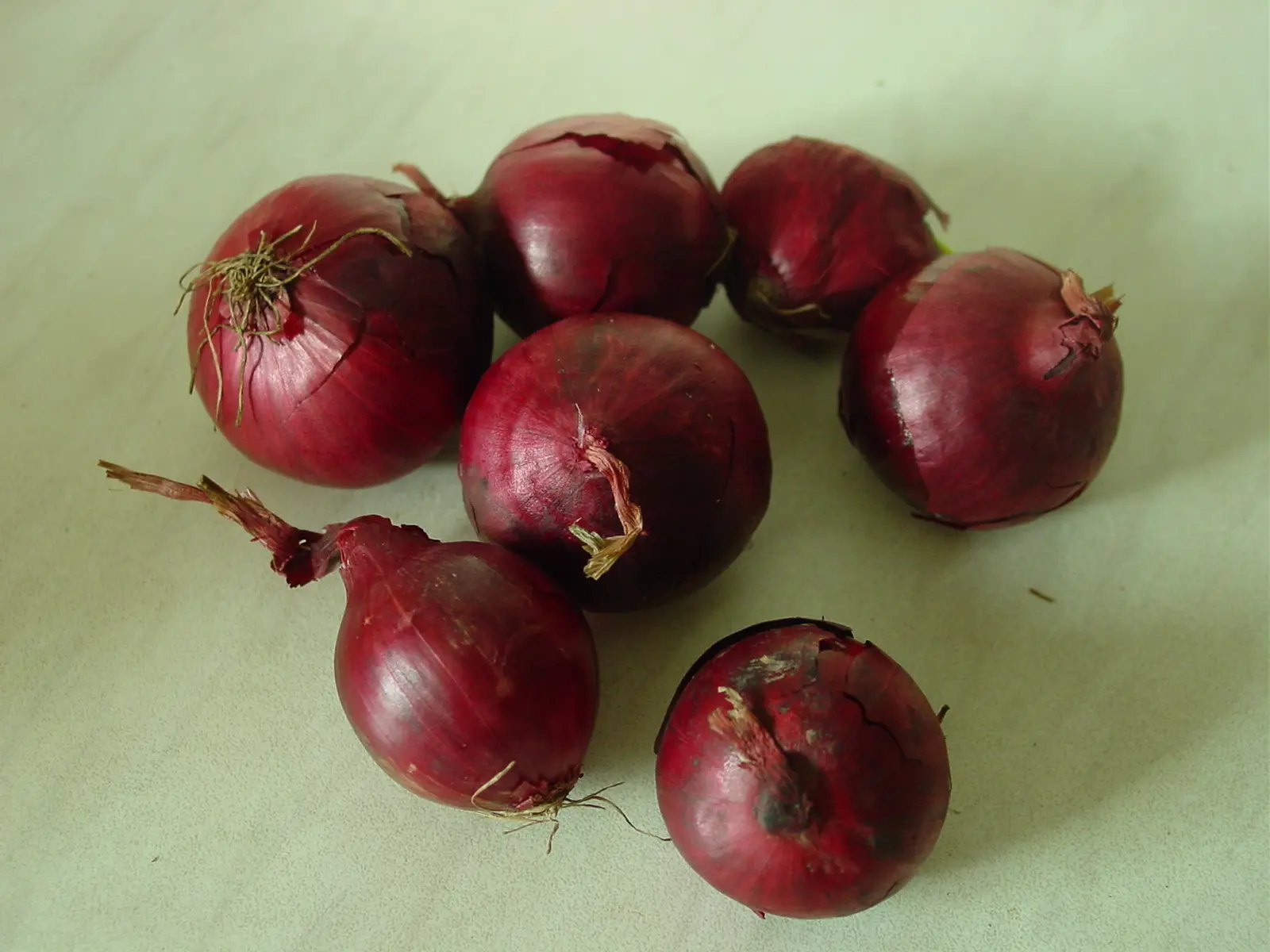 Bombay Merah Ecer